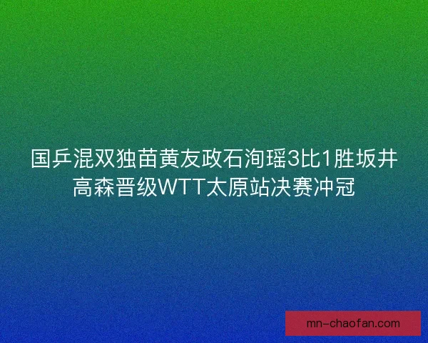 国乒混双独苗黄友政石洵瑶3比1胜坂井高森晋级WTT太原站决赛冲冠