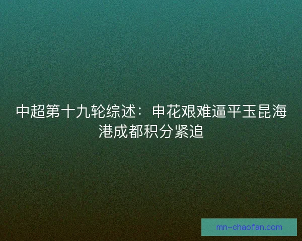 中超第十九轮综述：申花艰难逼平玉昆海港成都积分紧追